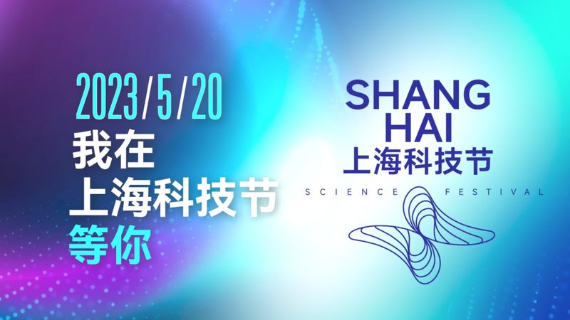 数字化案例解析：优与劣的辩证视角